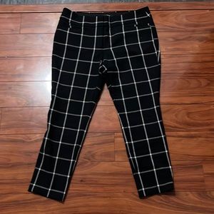 Loft petite size 12 pants